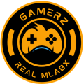 gamerzrealmlabx.com